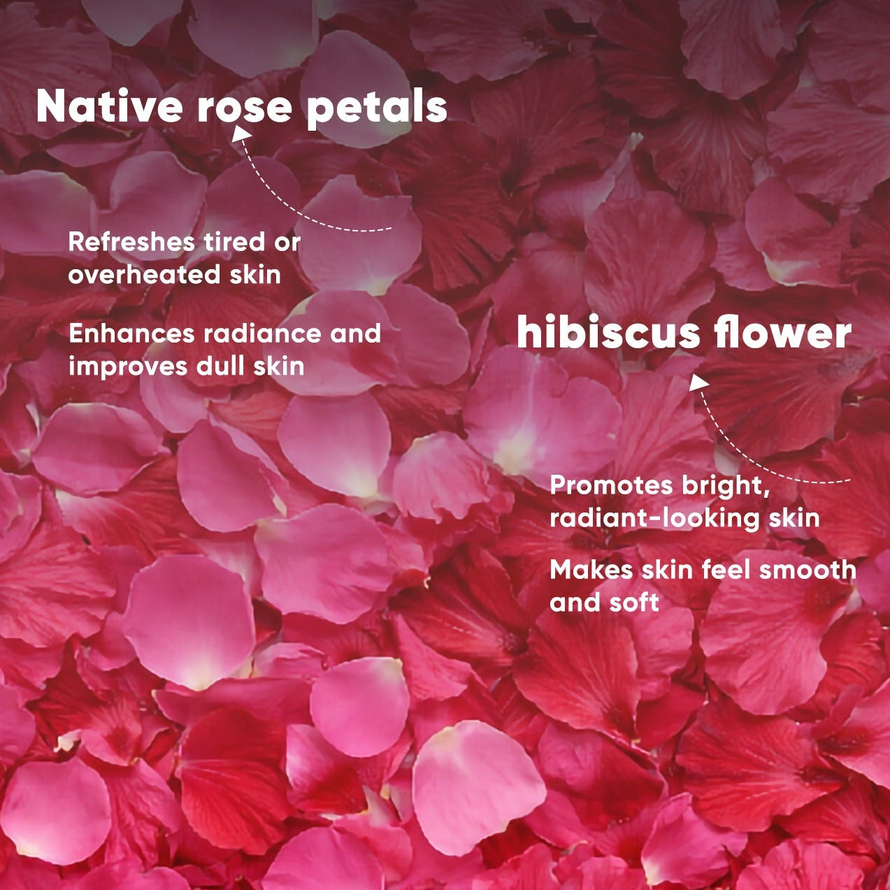 Pink and red rose petals with text about their skin benefits on a dark background