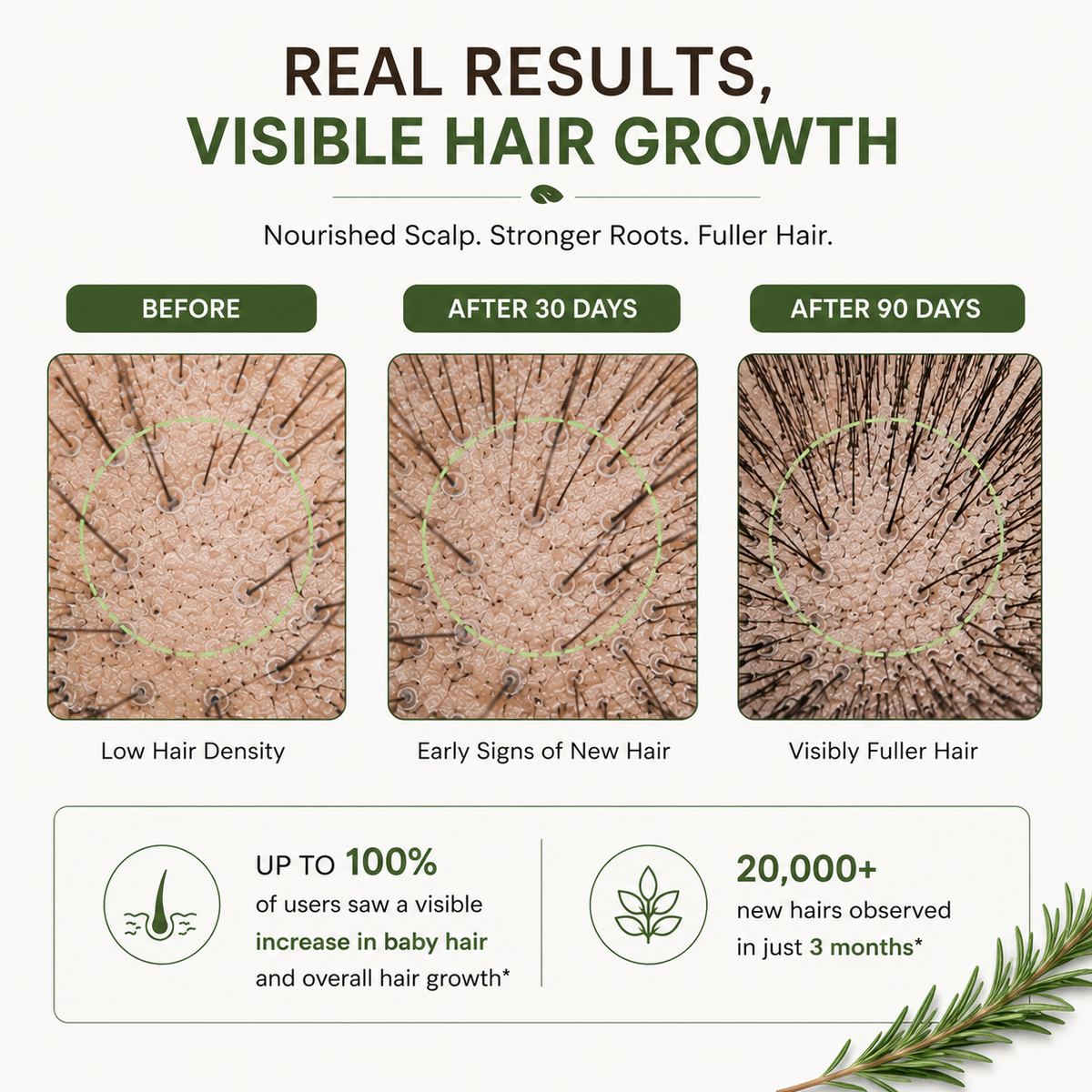 Hair Growth Serum with Rosemary and 2% Biotin